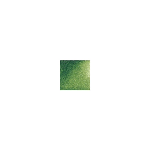 Daniel Smith, Watercolor, Art & School, Extra Fine, 15ml, 46007, Sap Green